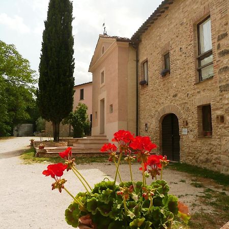 Marco & Andrea Agriturismo 아멜리아 외부 사진