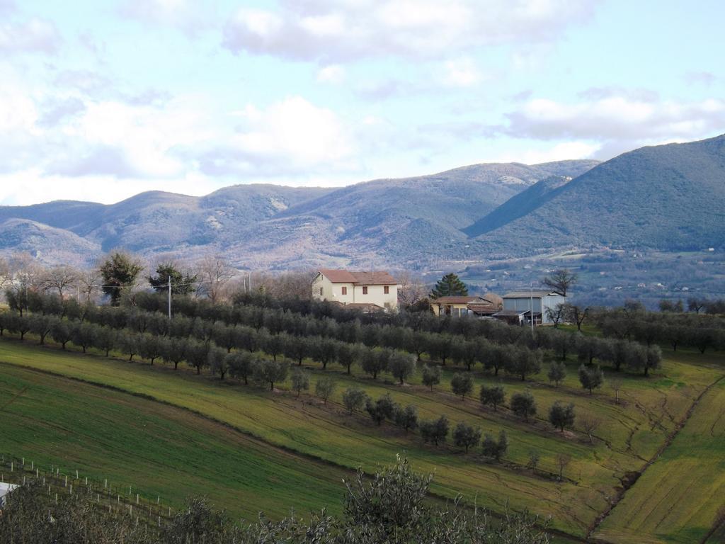 Marco & Andrea Agriturismo 아멜리아 외부 사진