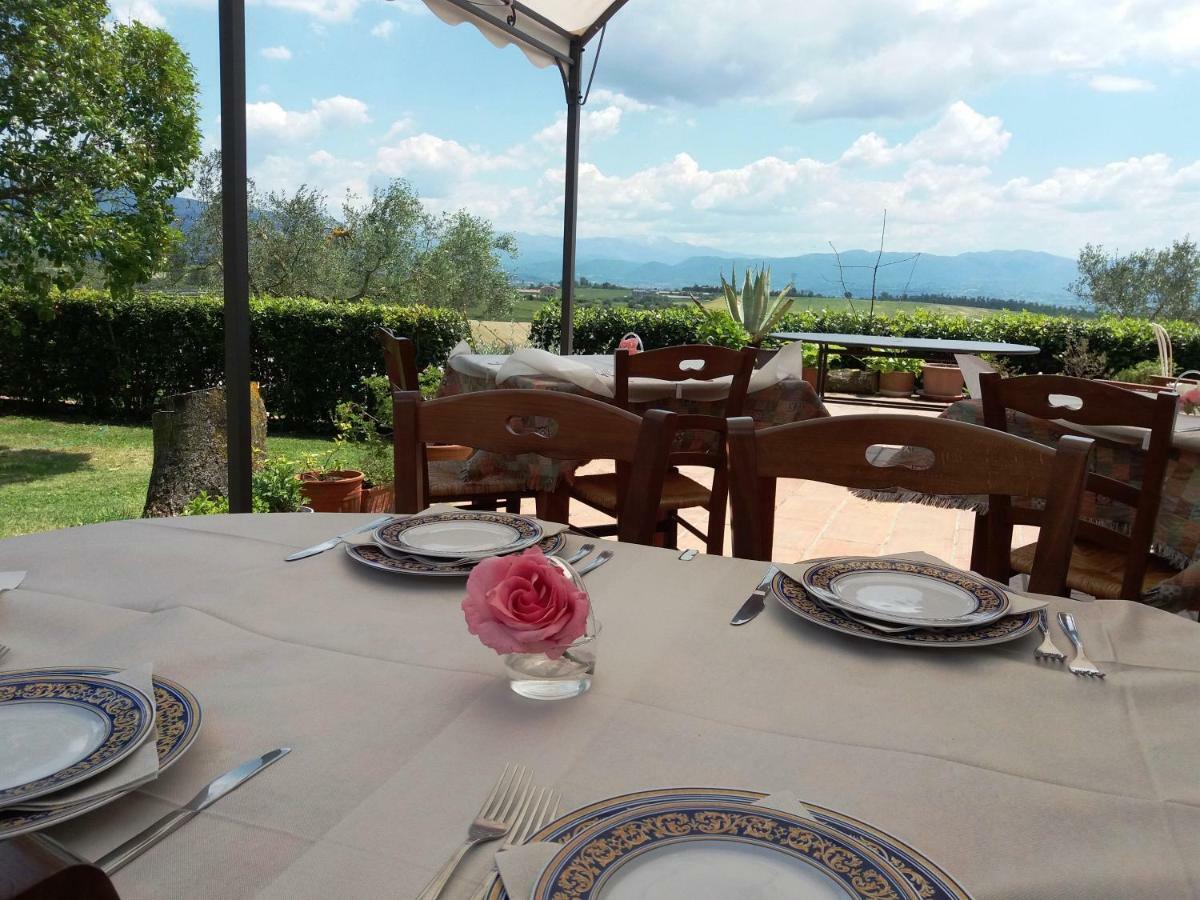 Marco & Andrea Agriturismo 아멜리아 외부 사진