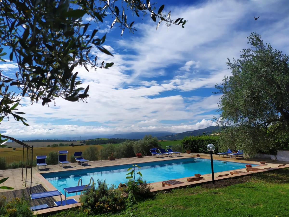 Marco & Andrea Agriturismo 아멜리아 외부 사진